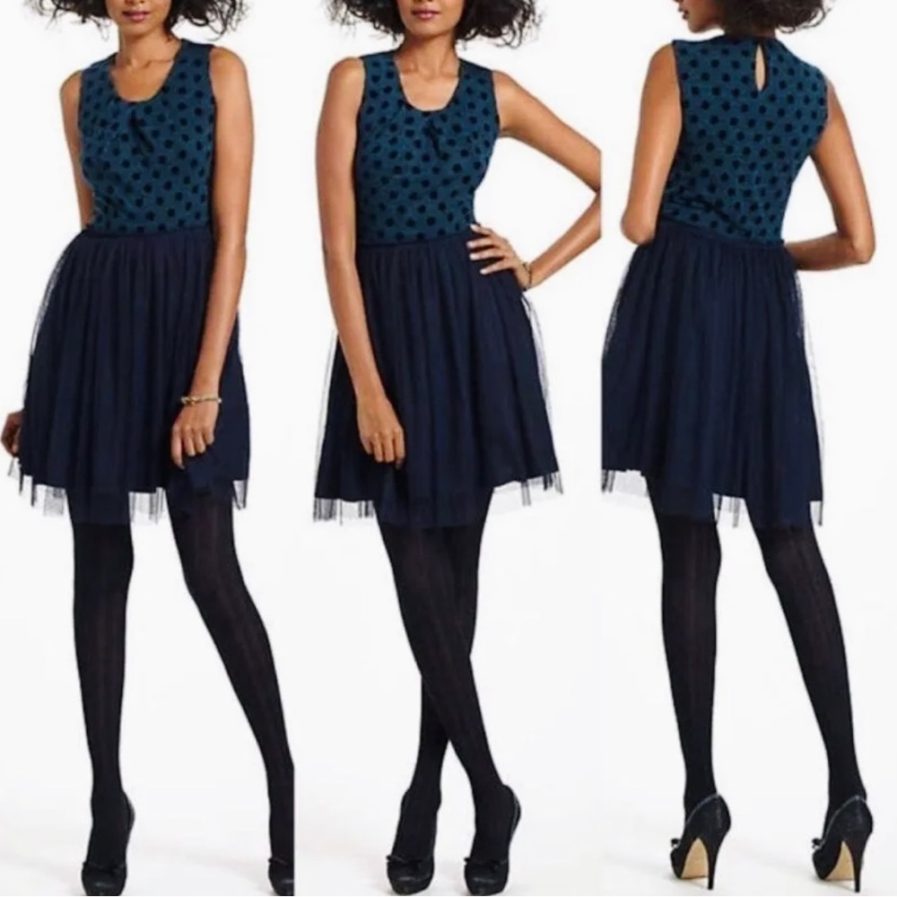 Anthropologie | Weston Wear Sansonger Blue & Black Tulle Polka Dot Print Dress